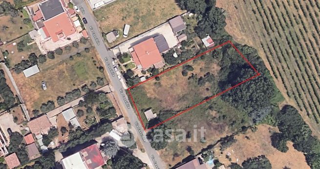 Terreno agricolo in commerciale in Via Cassibile