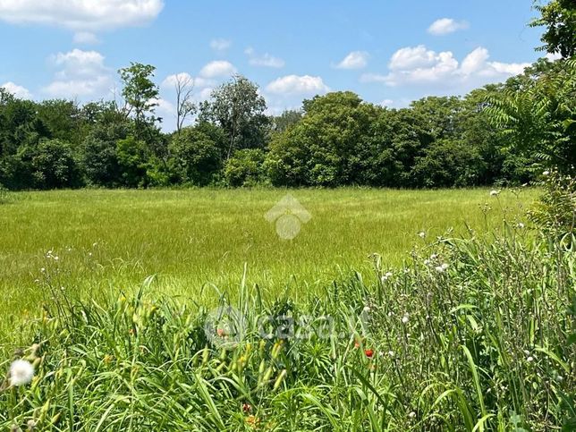 Terreno agricolo in commerciale in Via Selvanesco