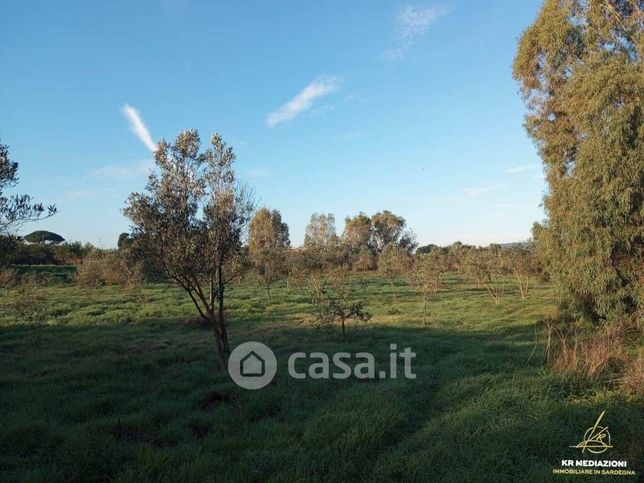 Terreno agricolo in commerciale in Strada Vicinale La Rucchetta