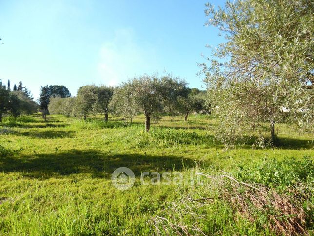 Terreno edificabile in residenziale in 