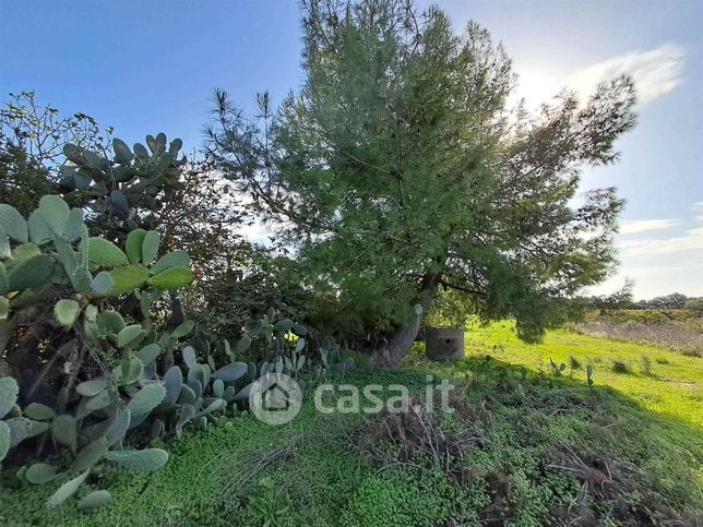 Terreno agricolo in commerciale in 