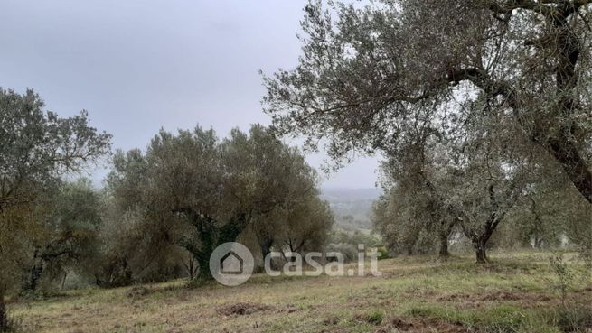 Terreno agricolo in commerciale in Strada di Magugnano 1