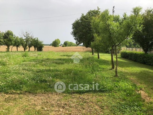 Terreno agricolo in commerciale in Via Volpin 48 /1