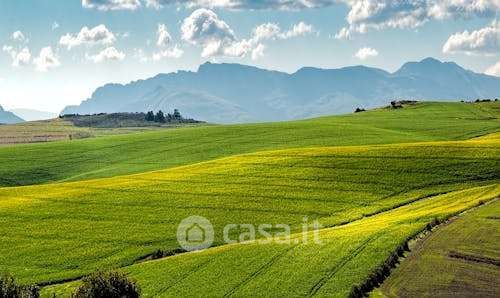 Terreno agricolo in commerciale in 