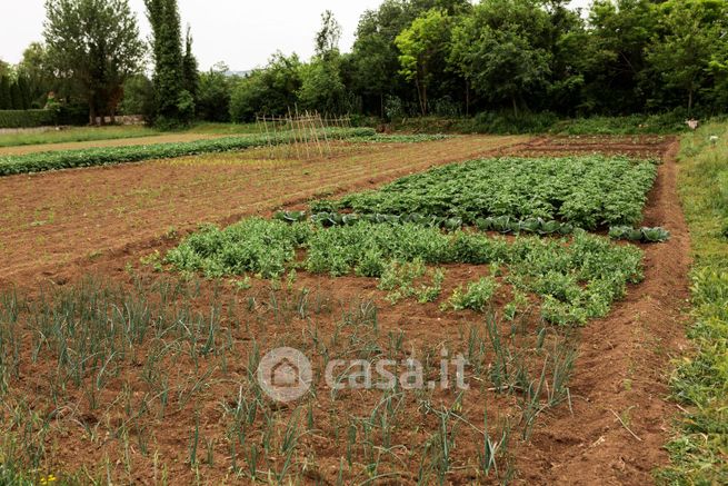 Terreno agricolo in commerciale in 