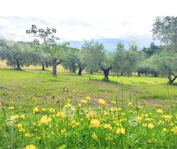 Capannone in commerciale in Strada di Colle Fagiano