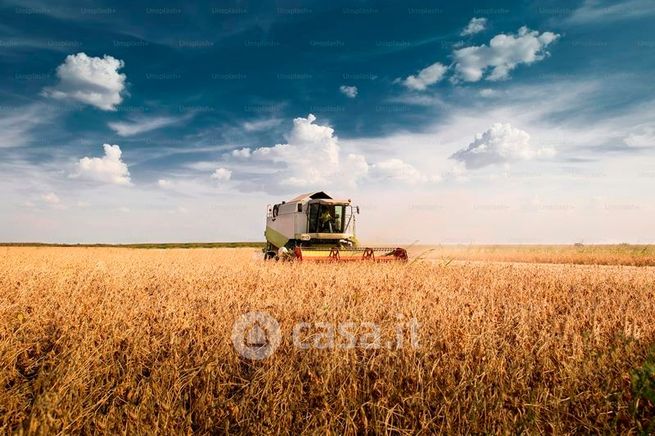 Terreno agricolo in commerciale in Via del Casale di Sant'Angelo