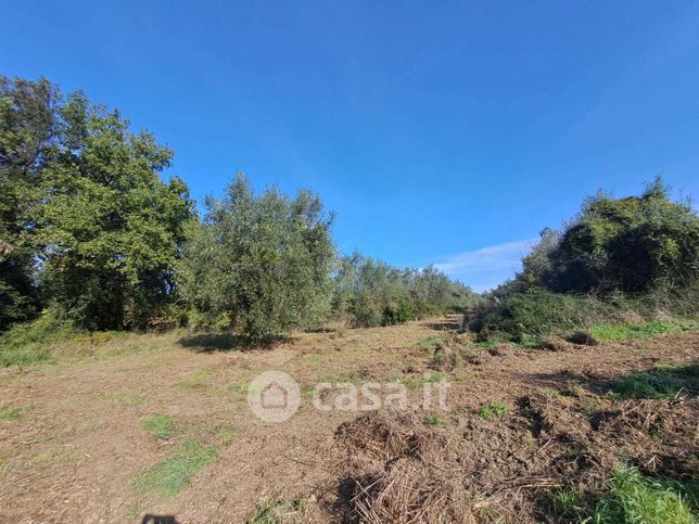 Terreno agricolo in commerciale in Via Rimembranze