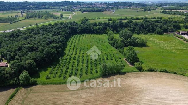 Terreno agricolo in commerciale in Strada Cavallara