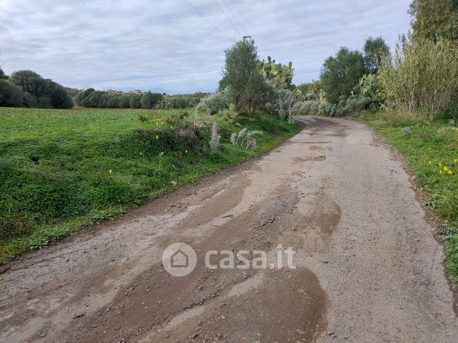 Terreno agricolo in commerciale in Strada Statale 131 Carlo Felice 10 m