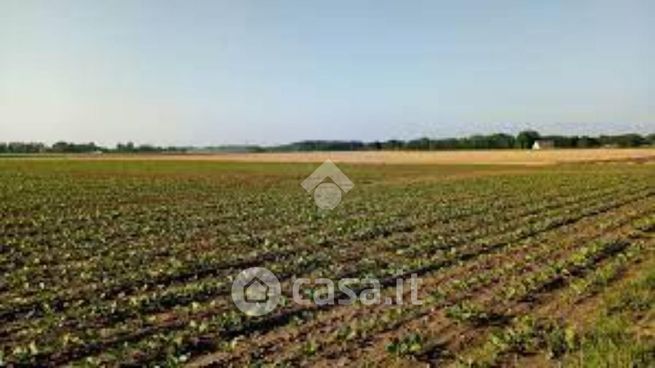 Terreno agricolo in commerciale in Viale Sandro Pertini