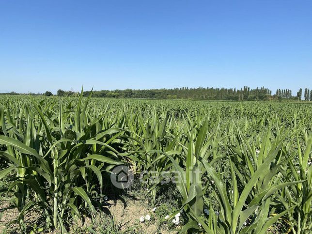 Terreno edificabile in residenziale in Strada Senza Nome