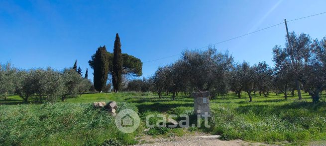 Terreno agricolo in commerciale in Contrada Montemariano