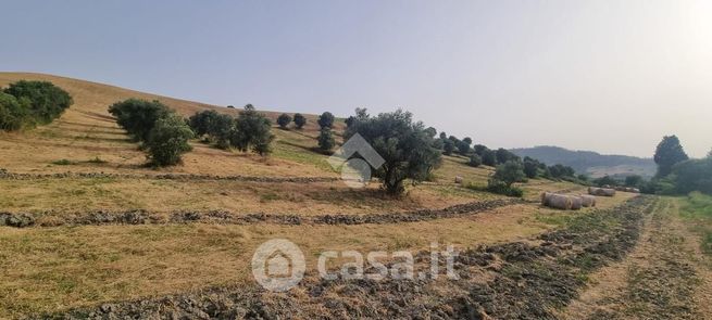 Terreno agricolo in commerciale in Viale Tagliamento