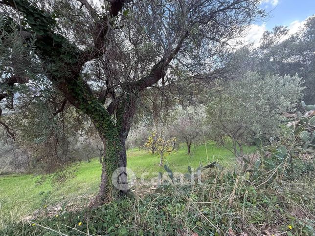 Terreno agricolo in commerciale in Strada Statale 18 Tirrena Inferiore