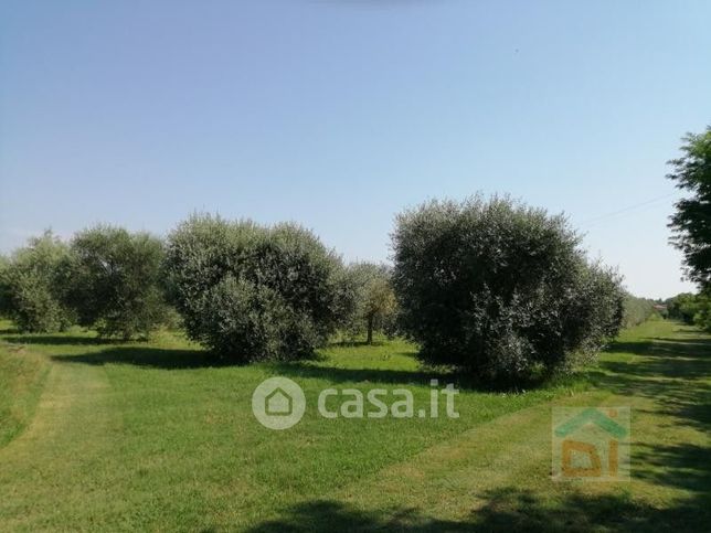 Terreno agricolo in commerciale in Via della Villa