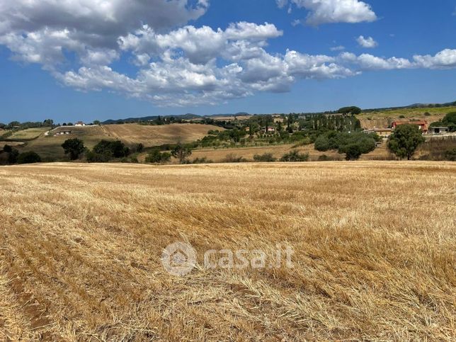 Terreno agricolo in commerciale in Via Settevene Palo Nuova