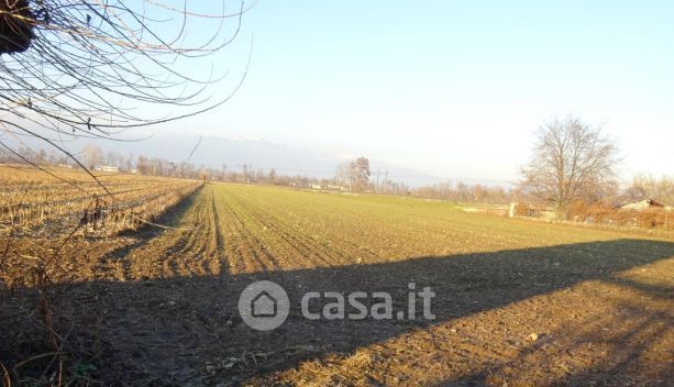 Terreno agricolo in commerciale in Via Campagna