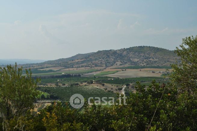 Terreno agricolo in commerciale in Strada Provinciale 18