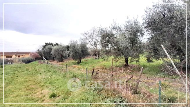 Terreno agricolo in commerciale in 