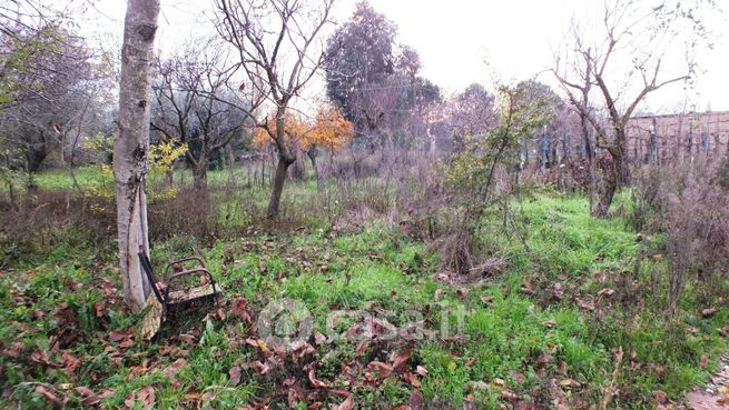 Terreno agricolo in commerciale in Via Circumvallazione 154