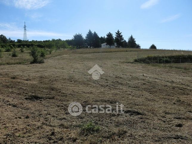 Terreno agricolo in commerciale in Contrada San Salvatore