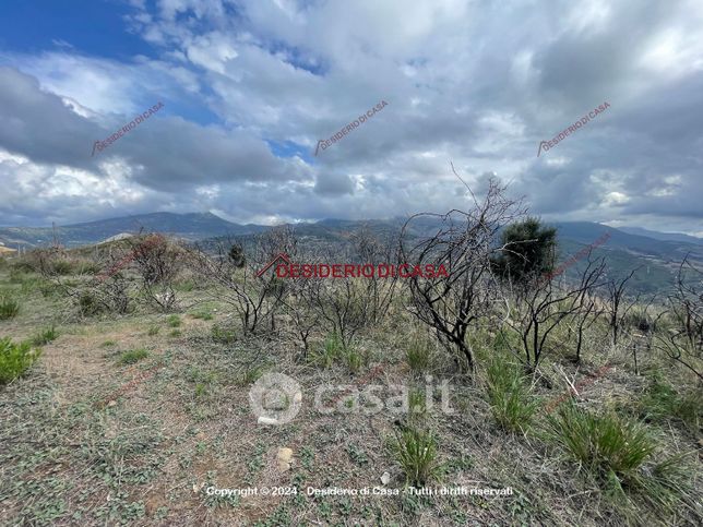 Terreno agricolo in commerciale in Contrada Monte