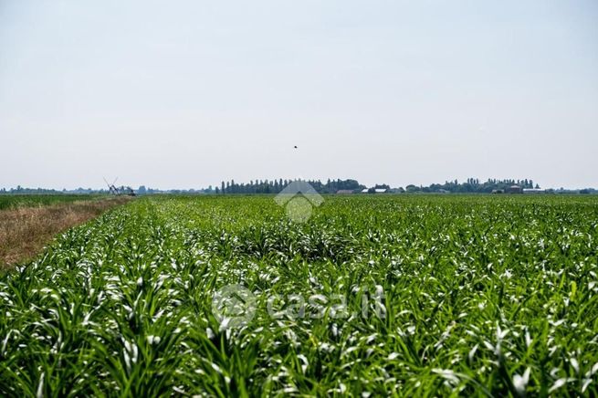 Terreno edificabile in residenziale in 