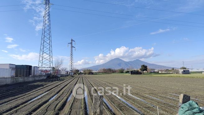 Terreno agricolo in commerciale in Via Monacelle