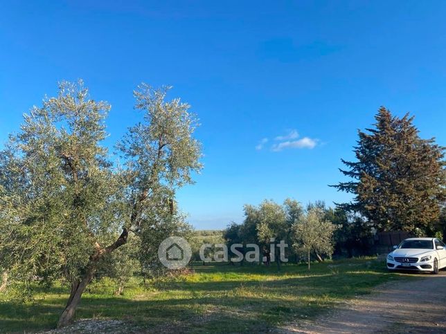 Terreno agricolo in commerciale in Viale DEGLI ANEMONI