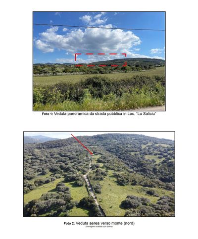 Terreno agricolo in commerciale in SP49