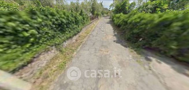 Terreno agricolo in commerciale in Via Regia Corte