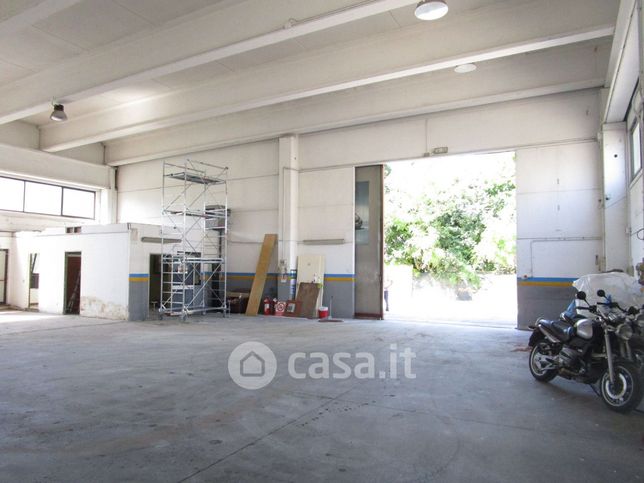 Capannone in commerciale in