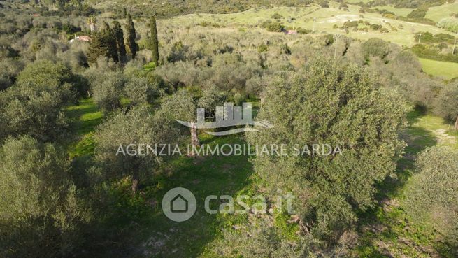 Terreno agricolo in commerciale in 