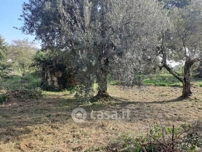 Terreno agricolo in commerciale in Via Rioli