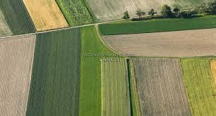 Terreno agricolo in commerciale in 