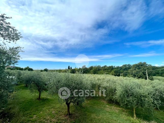 Terreno agricolo in commerciale in 