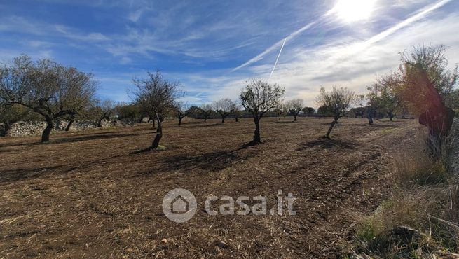 Terreno agricolo in commerciale in Via Laterza 3