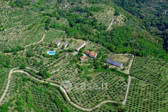 Attivitã /licenza (con o senza mura) in commerciale in Via di Pulicciano 120