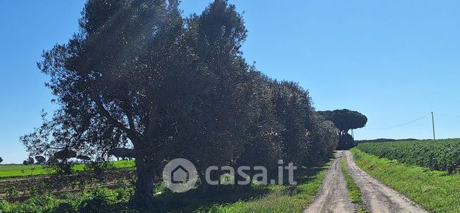 Appartamento in residenziale in Località Spinicci 146
