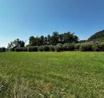 Terreno agricolo in commerciale in 
