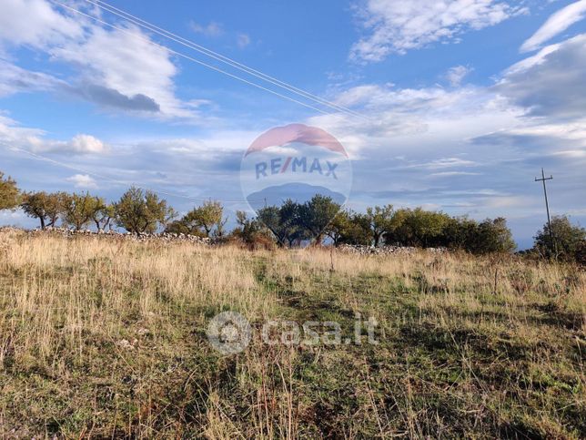 Terreno agricolo in commerciale in Località San Salvatore