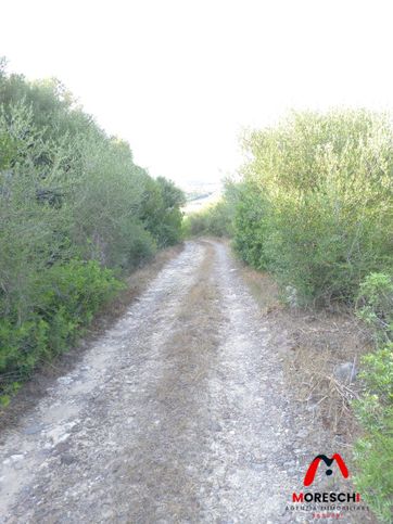 Terreno agricolo in commerciale in Strada senza nome