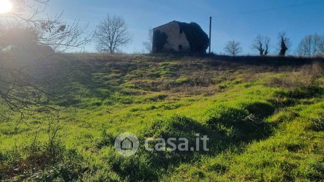 Rustico/casale in residenziale in Località Selvarelle Alte