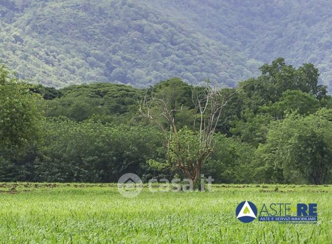 Terreno agricolo in commerciale in Via Fontana del Fico