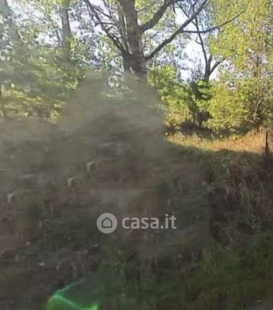 Terreno agricolo in commerciale in Via Stradone Secchia