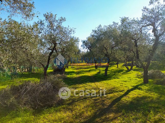 Terreno agricolo in commerciale in Contrada Balice 1