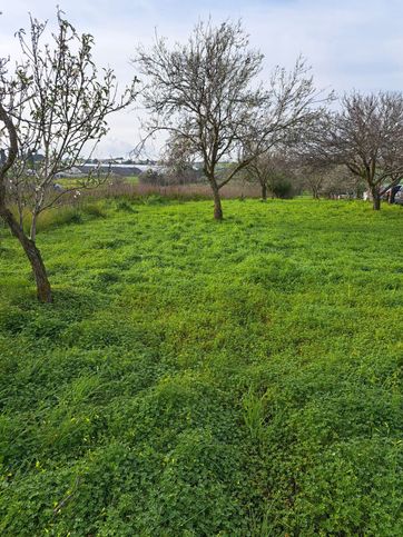 Terreno agricolo in commerciale in C/da Carrata