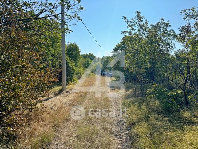 Terreno agricolo in commerciale in Strada Comunale per la Stazione