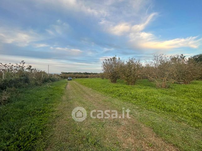 Terreno agricolo in commerciale in Via di Crognano 9